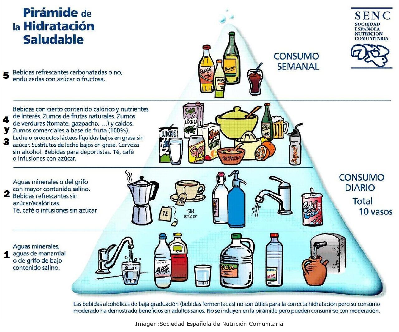 piramide hidratacio n sociedad espan ola de nutricio n comunitaria