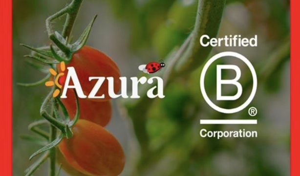 Azura obtiene la certificación B Corp para sus entidades que operan su negocio de tomates cherry