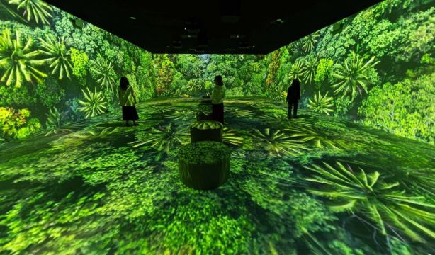 CaixaForum Madrid estrena 'Somos naturaleza', una experiencia inmersiva sobre la biodiversidad