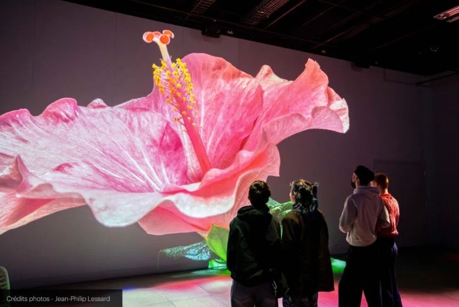 CaixaForum Madrid estrena 'Somos naturaleza', una experiencia inmersiva sobre la biodiversidad