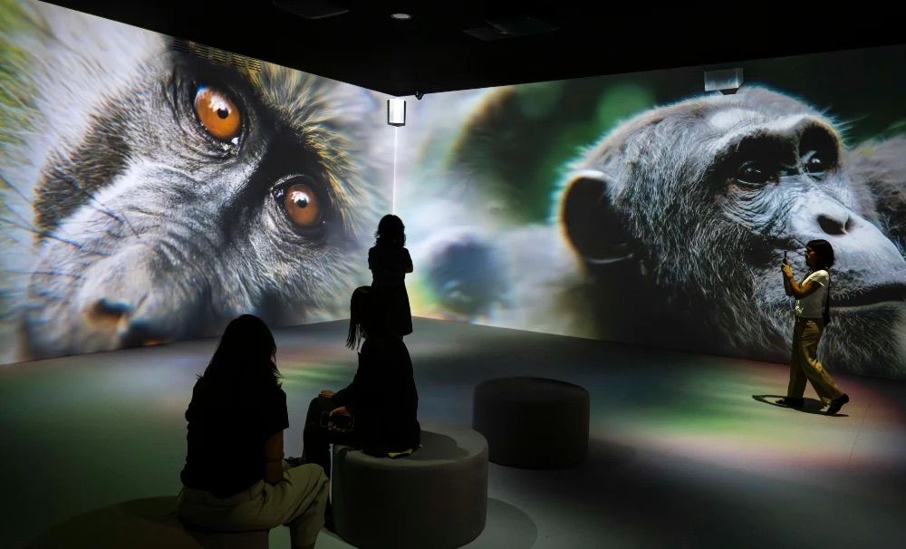 CaixaForum Madrid estrena 'Somos naturaleza', una experiencia inmersiva sobre la biodiversidad
