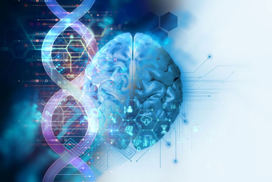 Un estudio señala que una molécula logra "reprogramar" las defensas del cerebro frente al alzhéimer