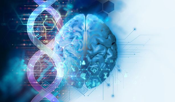 Una molécula logra "reprogramar" las defensas del cerebro frente al alzhéimer Una molécula logra "reprogramar" las defensas del cerebro frente al alzhéimer