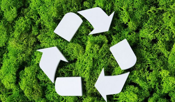 Día Mundial del Medio Ambiente: Estas son las 10 claves para ser un consumidor sostenible