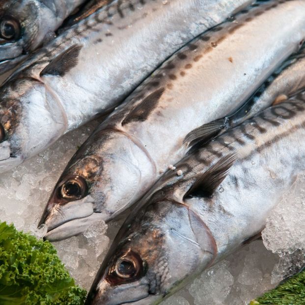 ¿En qué supermercados puedes comprar pescado con el sello pesca sostenible?