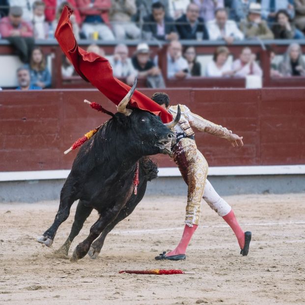 ¿Cuántos años tiene que cotizar un torero para poderse jubilar?