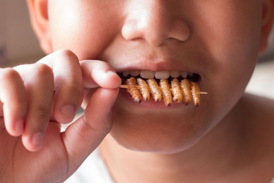 bigstock Children Eating Bamboo Worm In 138820130 bigstock Children Eating Bamboo Worm In 138820130