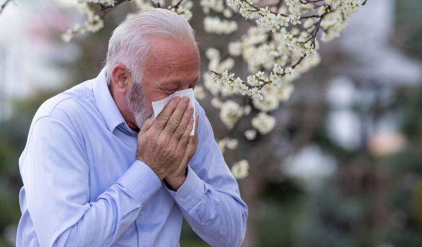 Repunta la alergia al polen en varias zonas de España: recomendaciones