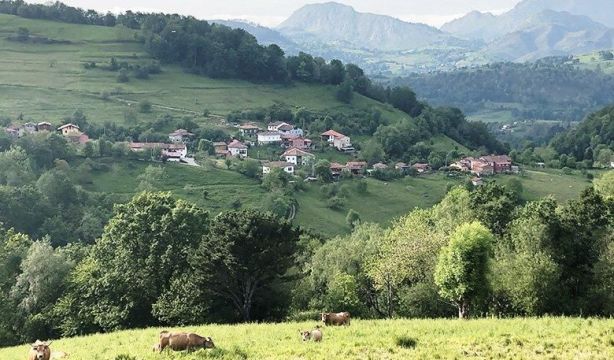 telena Ayto. Cangas de Onís