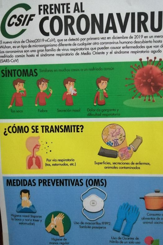 Coronavirus: se transmite rápidamente, pero el 80% de los pacientes solo sufren síntomas menores