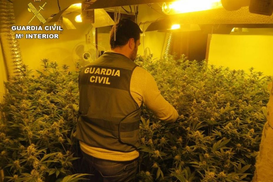 Alcoleja, el pueblo de Alicante que casi se queda sin luz por un cultivo de marihuana