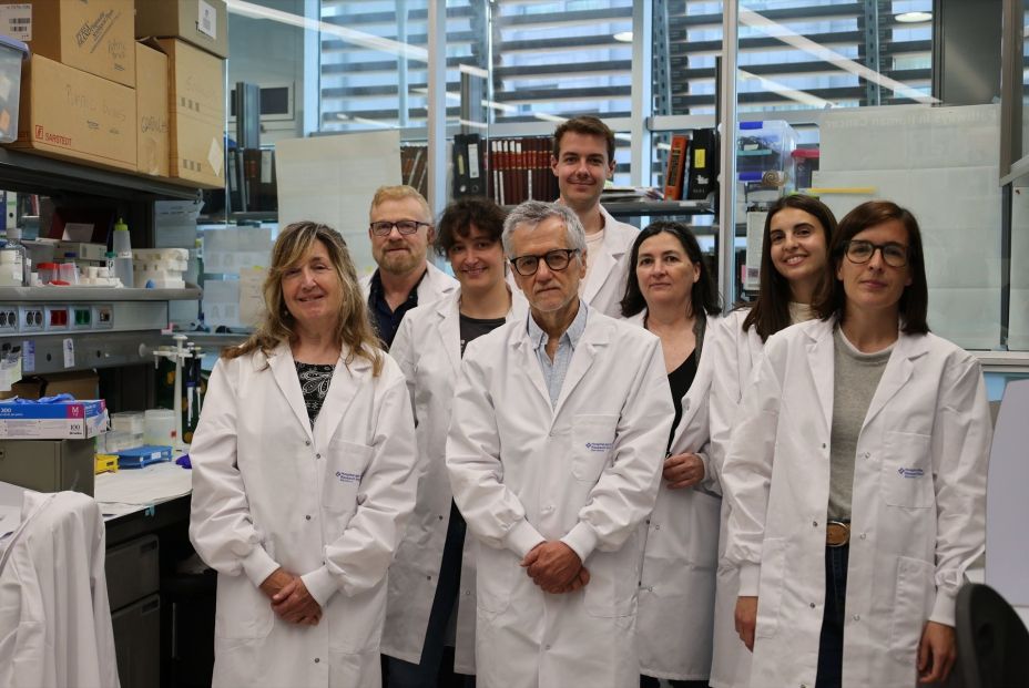 Identifican una nueva estrategia contra el cáncer de páncreas que ataca las células tumorales