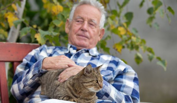 Acariciar gatos puede hacernos sentir peor cuando estamos bajo estrés