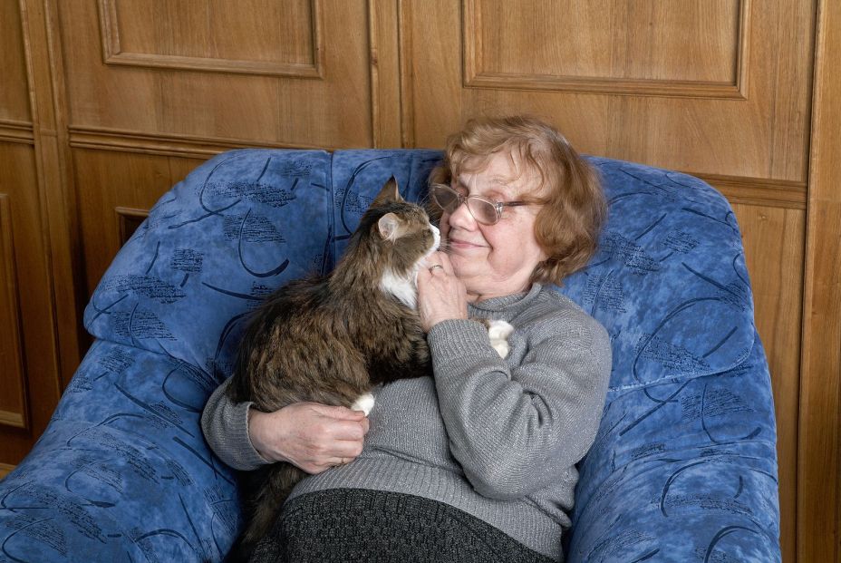 Acariciar gatos puede hacernos sentir peor cuando estamos bajo estrés