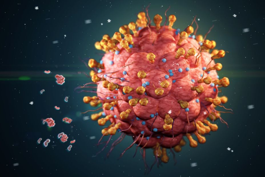 bigstock The herpes virus VZV is one394813688