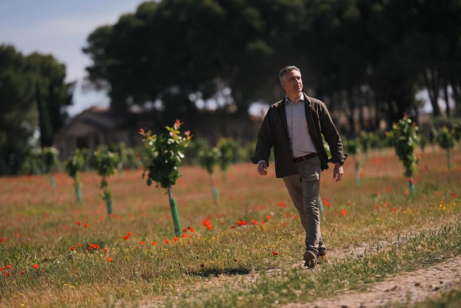 Carlos Novillo: “Estamos recuperando cultivos que estaban en retroceso en Madrid, como el olivar” Carlos Novillo: “Estamos recuperando cultivos que estaban en retroceso en Madrid, como el olivar”