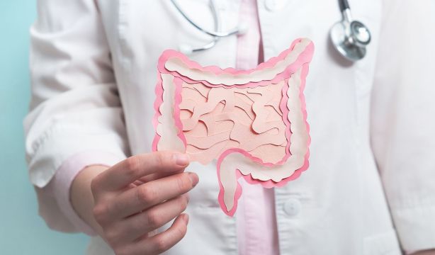 La conexión intestino-cerebro también participa en la generación de recuerdos