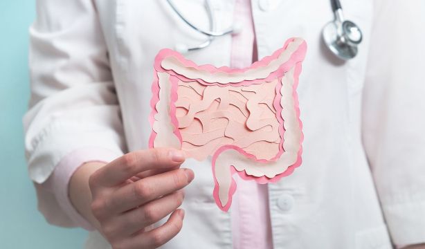 El envejecimiento del intestino podría tener un papel decisivo en la pérdida de memoria / Fuente: BigStock