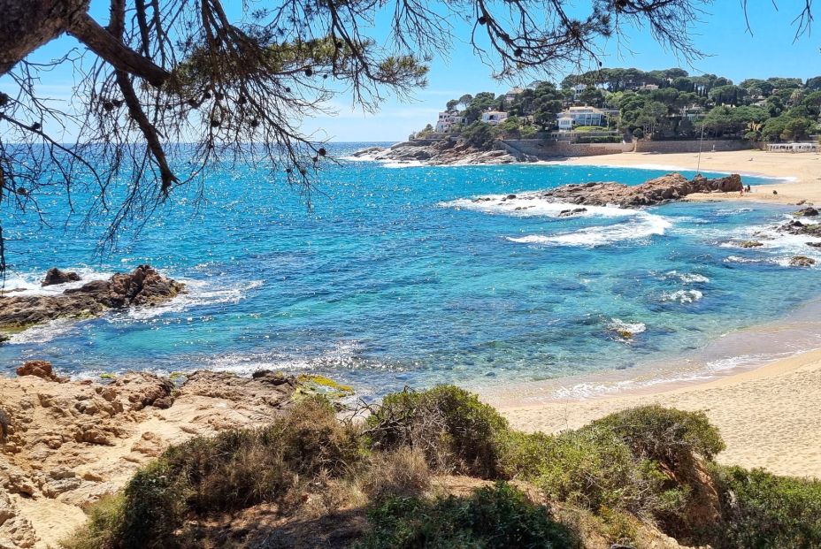 cala cristus-ses torretes cervrvre cala cristus-ses torretes cervrvre
