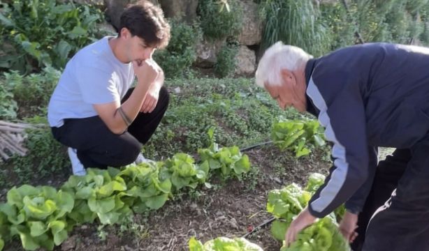 El 'agroinfluencer' octogenario que cosecha 'likes' en redes con sus consejos sobre el campo