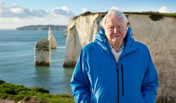 David Attenborough, primer centenario nominado en la historia de los Emmy