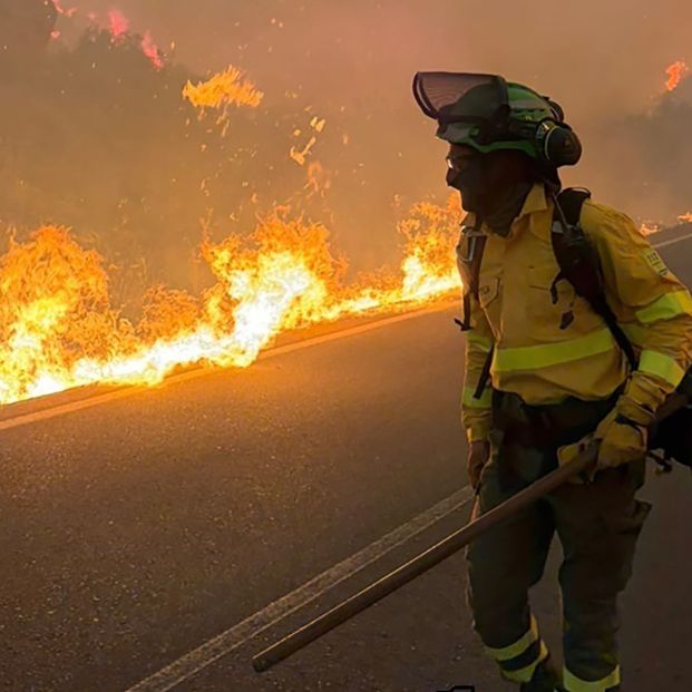 Ascienden a 13 los fallecidos por el "terrorífico" incendio de Los Gallardos (Almería) Ascienden a 13 los fallecidos por el "terrorífico" incendio de Los Gallardos (Almería)