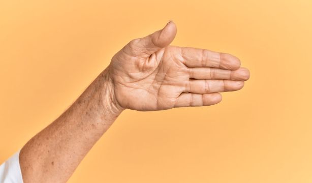 Descubren en los peces el origen de las diferencias entre el dorso y la palma de las extremidades (Fuente: BigStock)