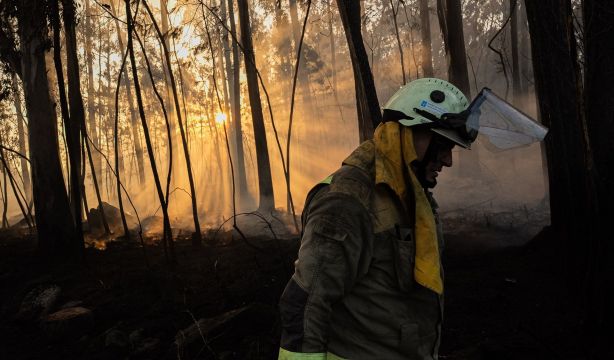 Los incendios ya han arrasado más de 50.700 hectáreas en España, más del doble que en 2025