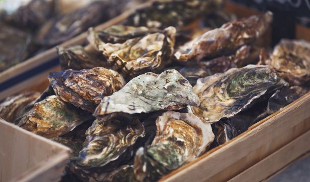 La carne de ostra puede proporcionar una solución sostenible para la inflamación intestinal(Fuente: BigStock)