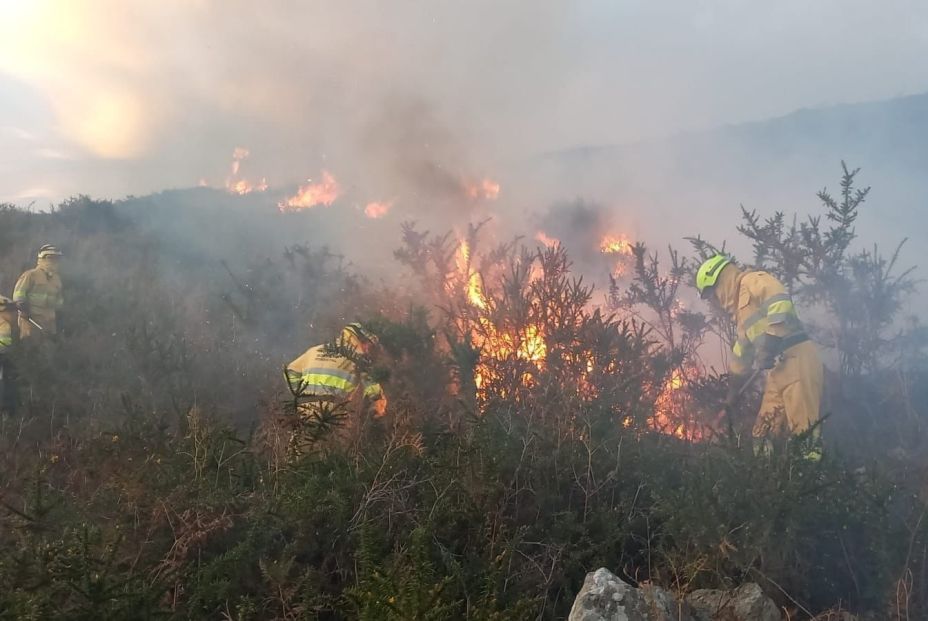 EuropaPress 7662770 experta apuesta gestion territorio evitar incendios forestales EuropaPress 7662770 experta apuesta gestion territorio evitar incendios forestales
