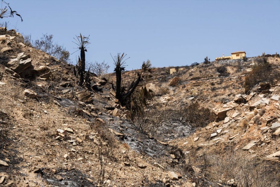EuropaPress 7663978 imagen zona afectada incendio gallardos termino municipal bedar almeria 14
