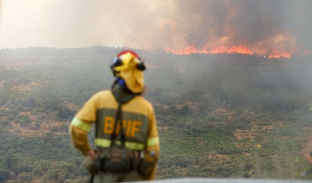 Incendios forestales: cómo reclamar los daños
