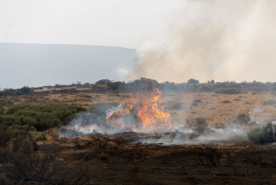 ¿Qué hacer si un incendio te sorprende conduciendo? (Fuente: Europapress) ¿Qué hacer si un incendio te sorprende conduciendo? (Fuente: Europapress)