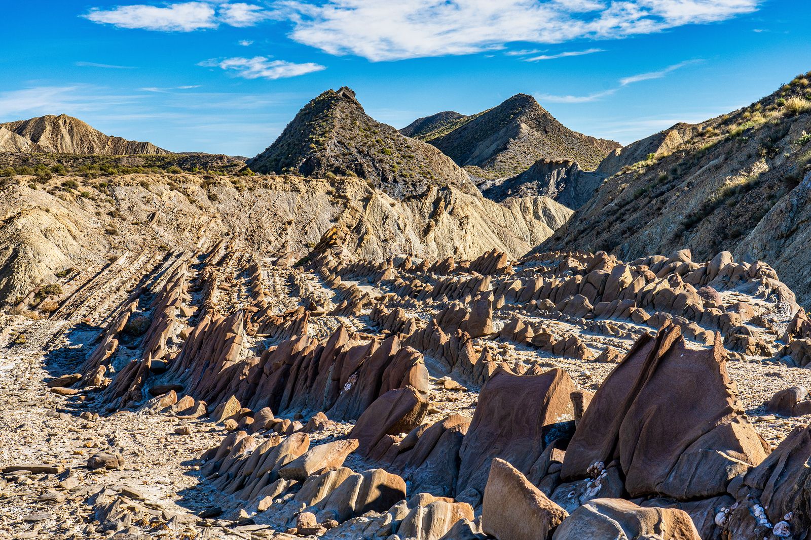 En España también hay desiertos. Desierto de Tabernas