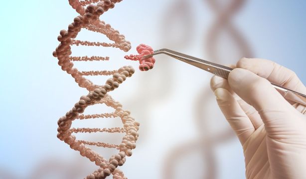Identifican una veintena de genes vinculados a la depresión y la ansiedad / Fuente: BigStock