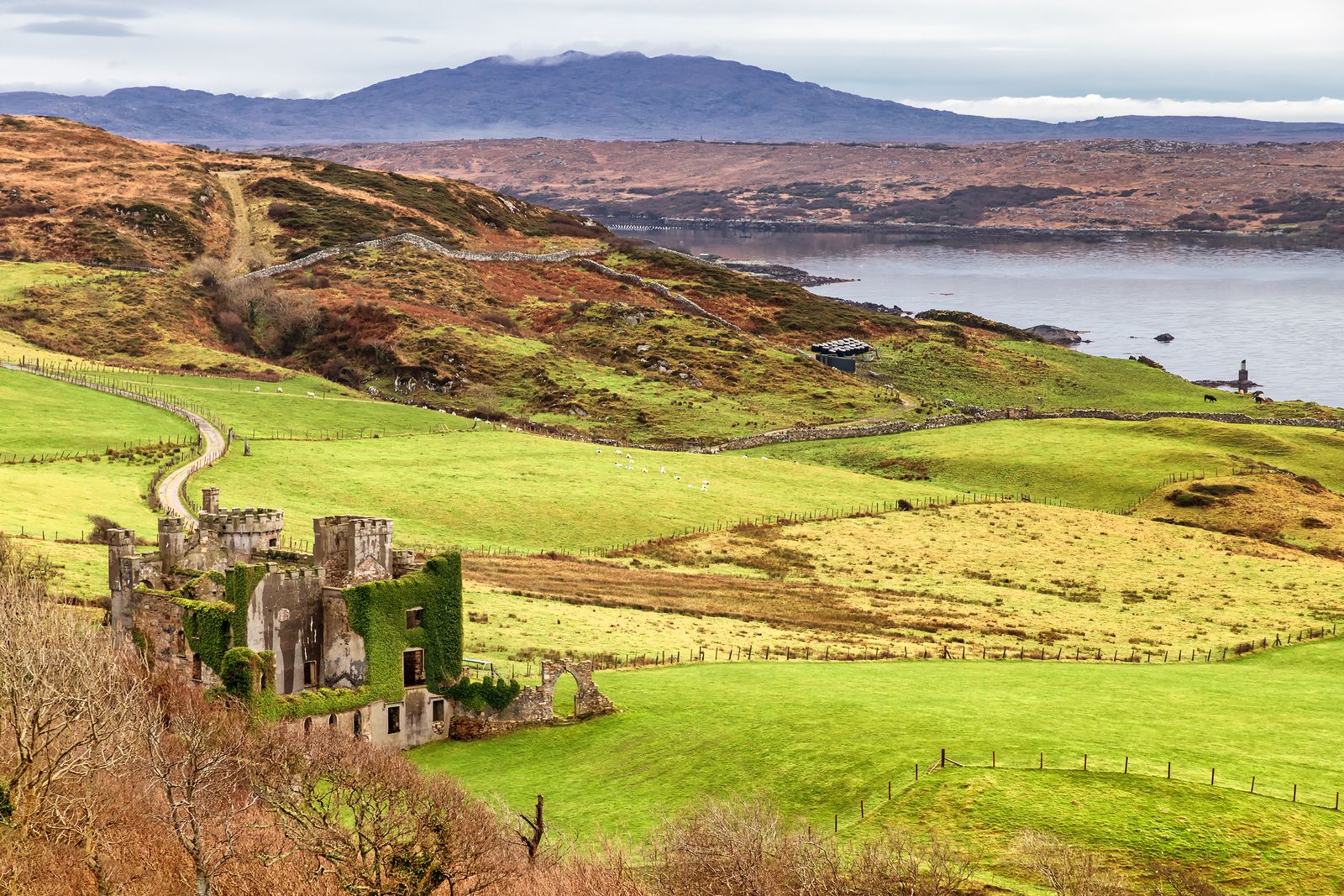 Irlanda es mucho más que enormes prados verdes, sitios que deberías visitar; Clifden Castle
