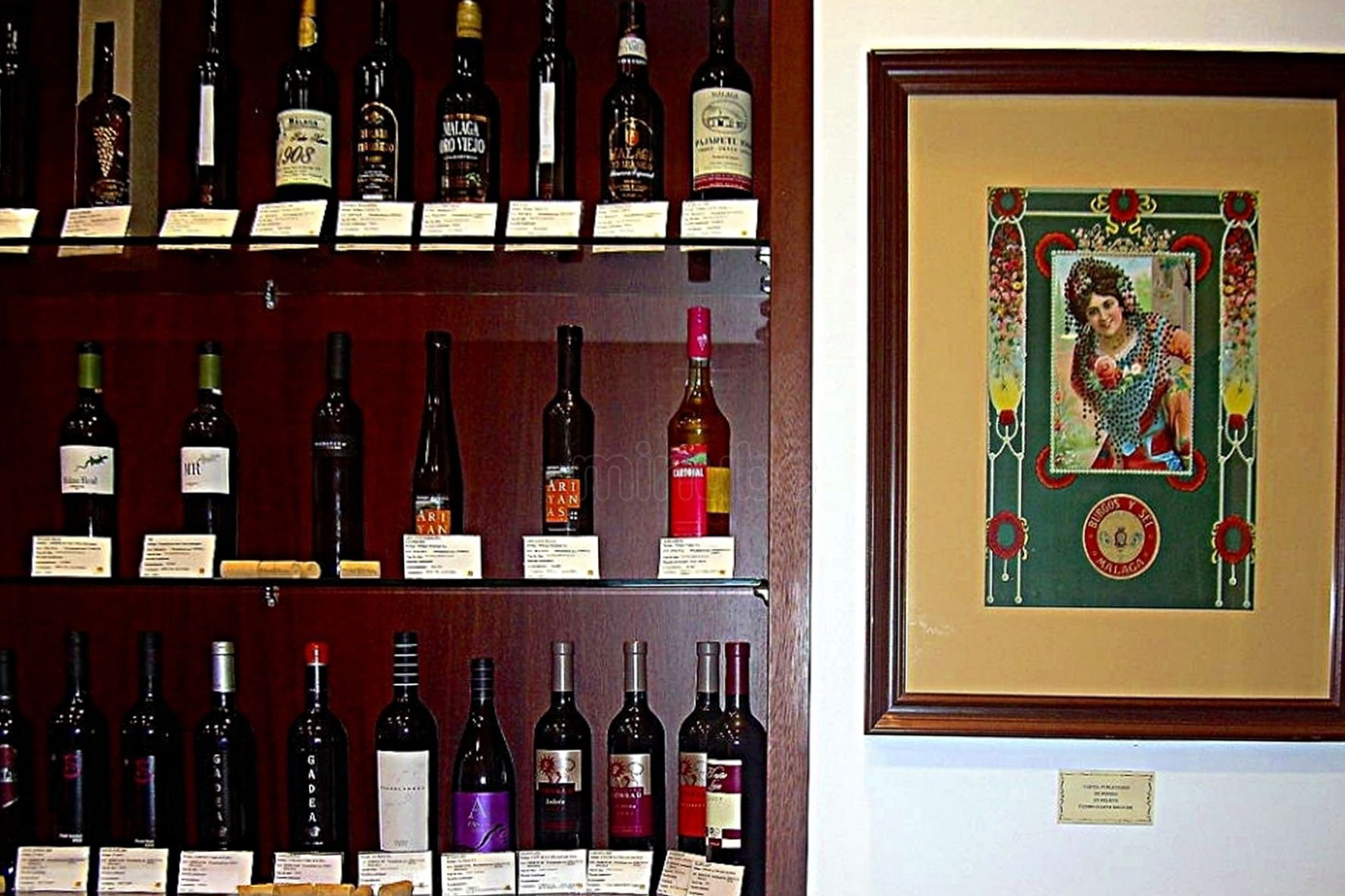 Museo del Vino, Málaga