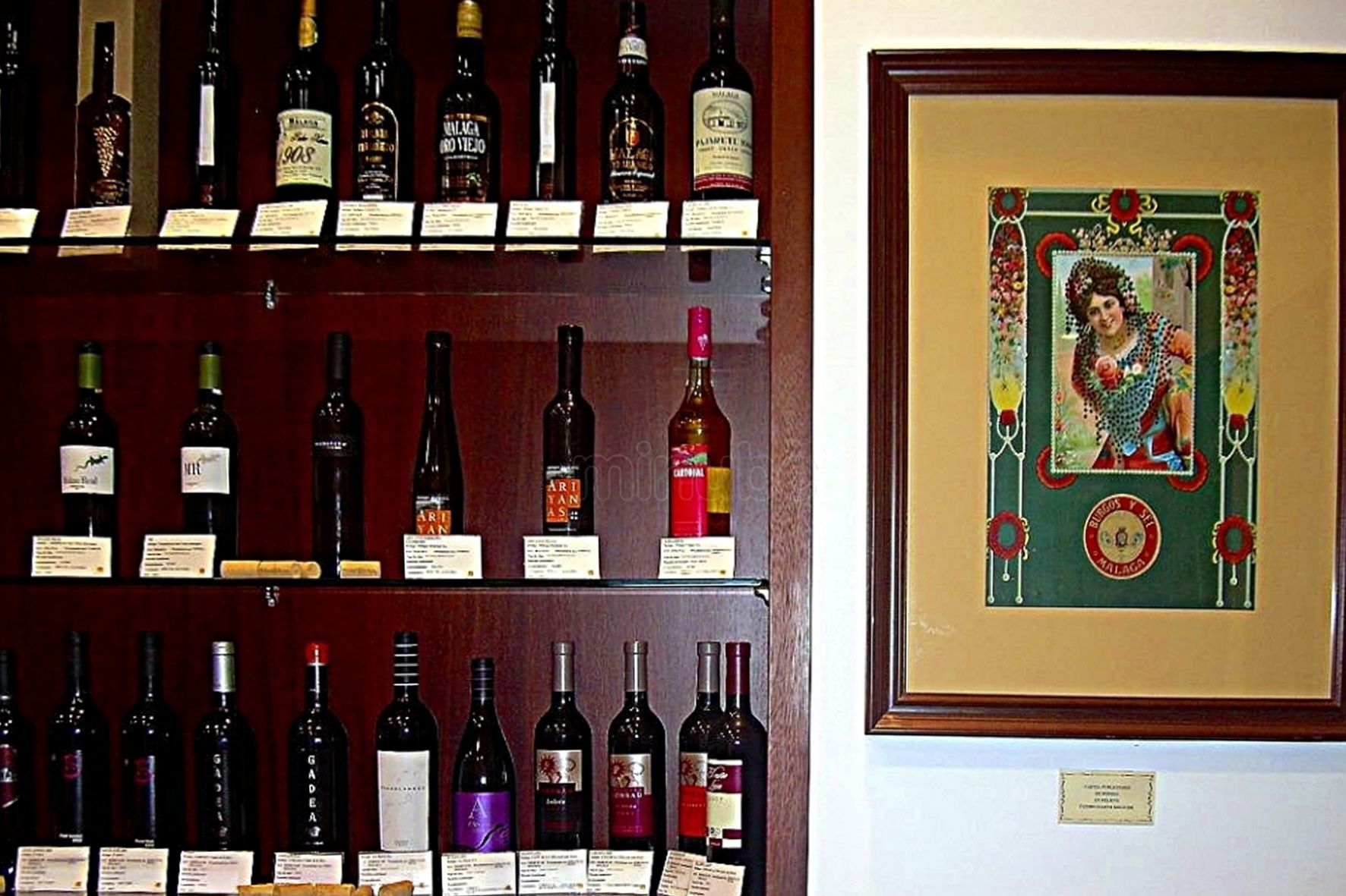 Museo del Vino, Málaga Museo del Vino, Málaga