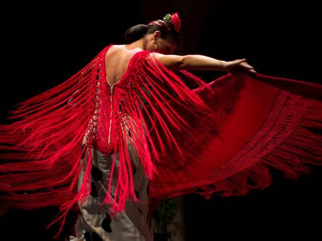 Museo Flamenco