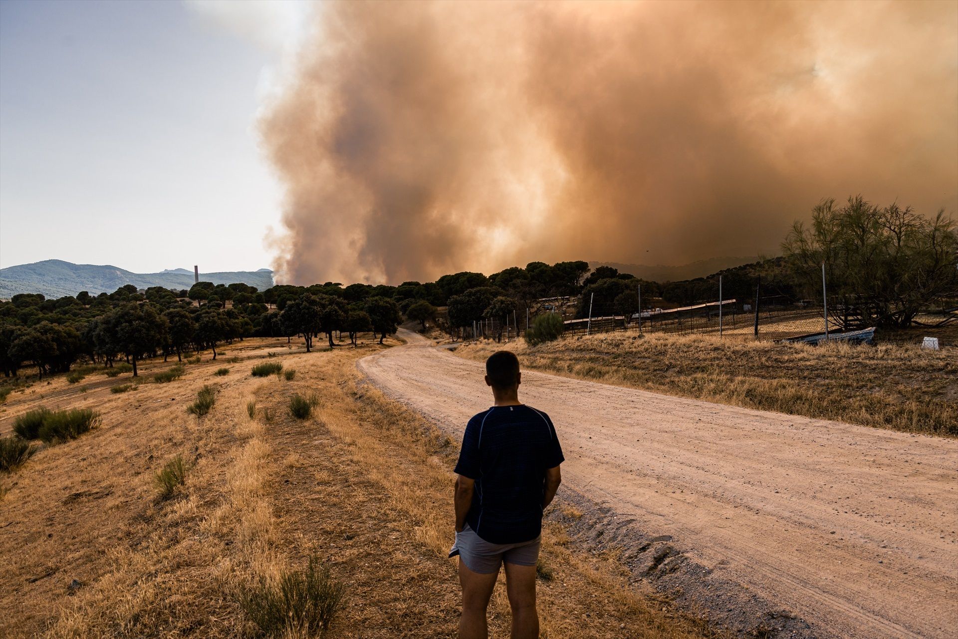 El Gobierno declara la emergencia nacional en la Comunidad de Madrid y en Ávila por los incendios El Gobierno declara la emergencia nacional en la Comunidad de Madrid y en Ávila por los incendios