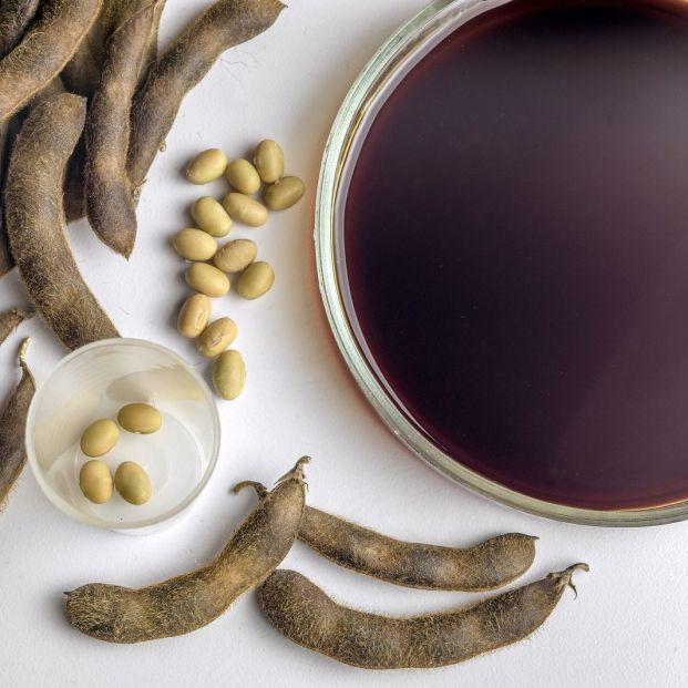 Cuáles son los beneficios para los mayores de los productos de soja fermentados Cuáles son los beneficios para los mayores de los productos de soja fermentados
