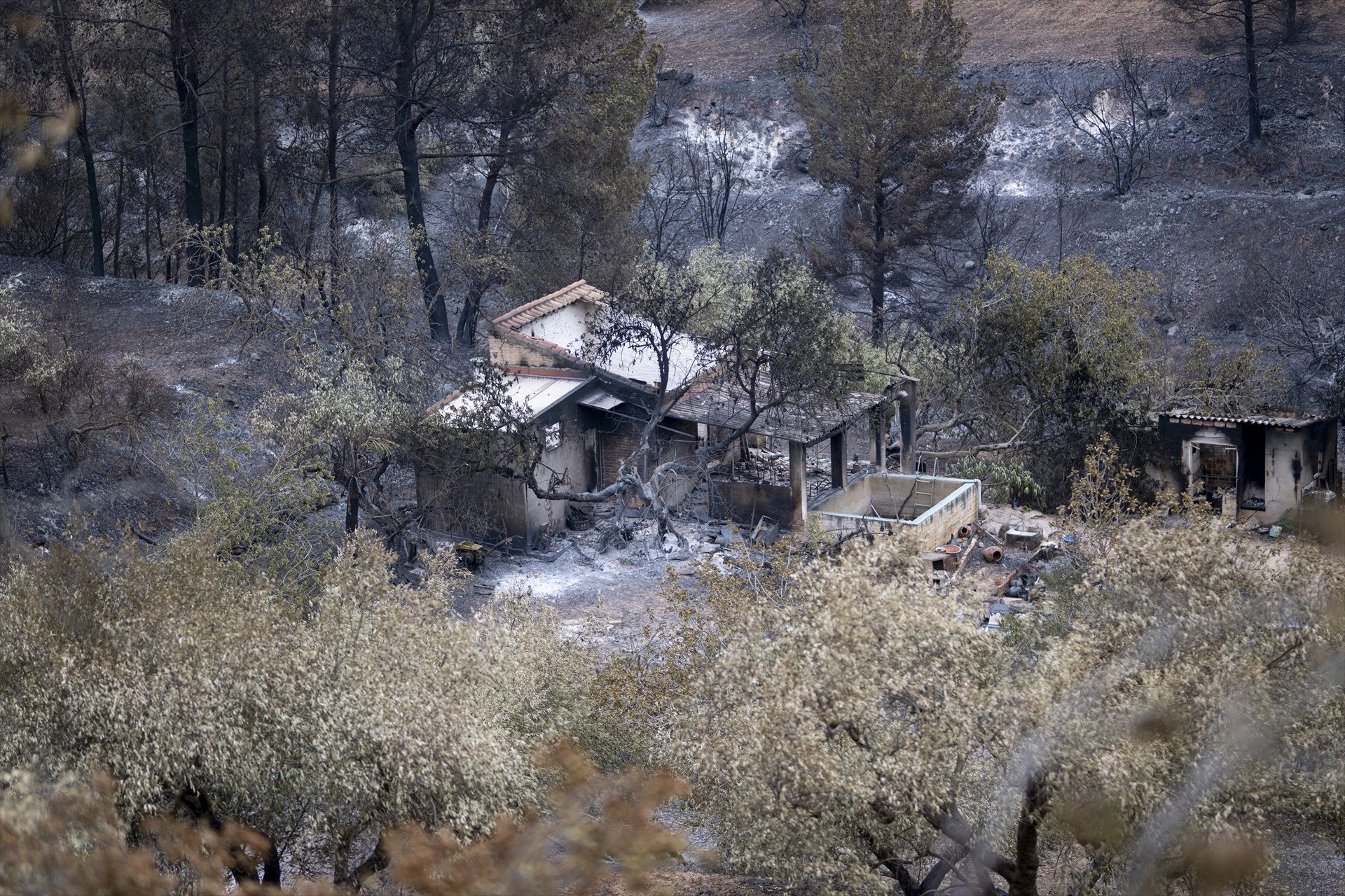Así es la nueva prestación para los afectados por los incendios: quiénes pueden pedirla y cuantía