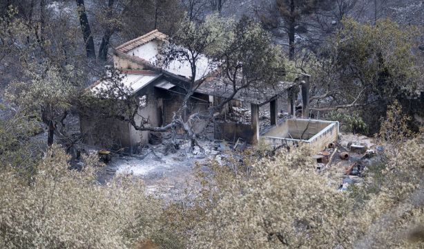 Así es la nueva prestación para los afectados por los incendios: quiénes pueden pedirla y cuantía