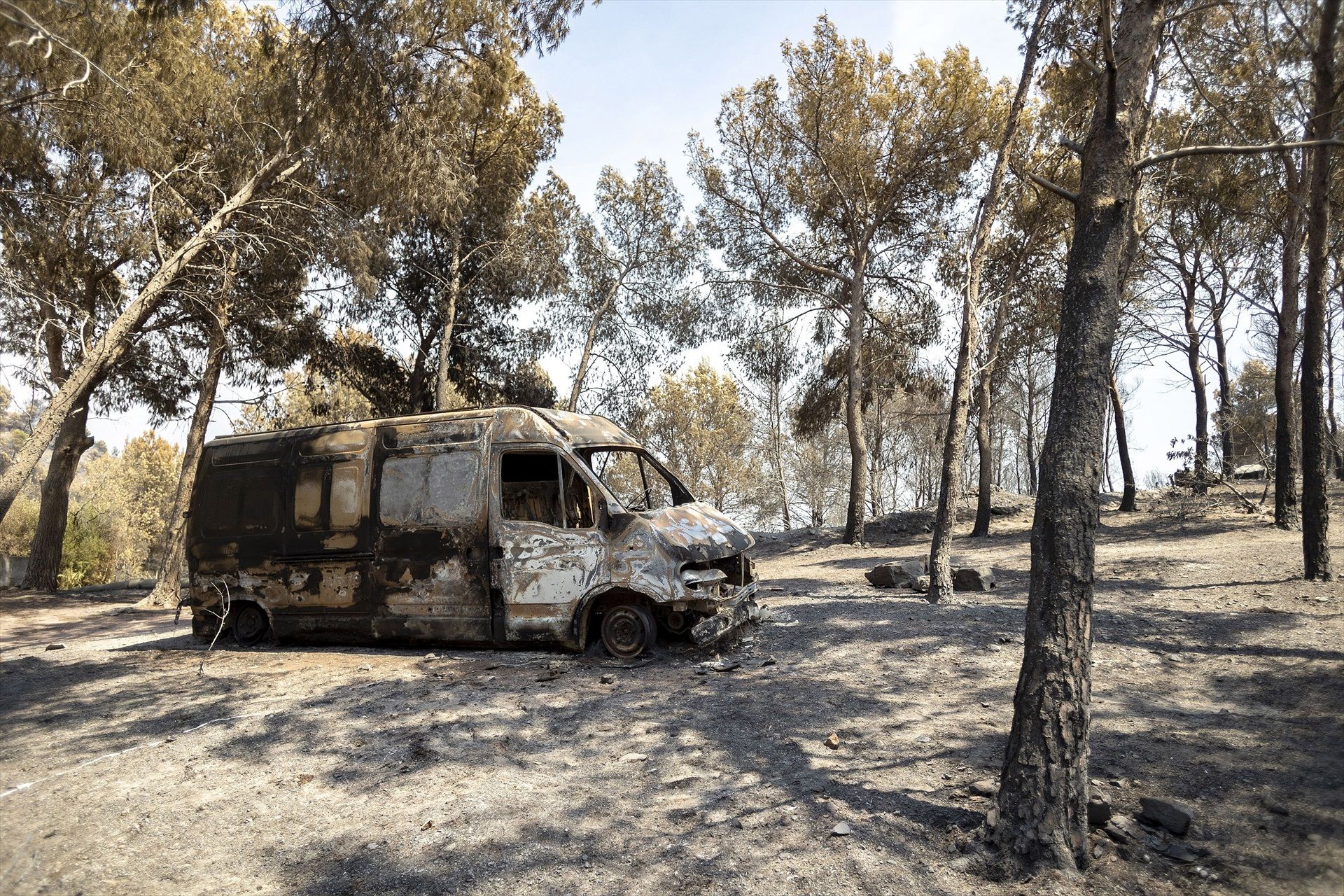 Los incendios de Madrid y Ávila ya están "estabilizados" Los incendios de Madrid y Ávila ya están "estabilizados"