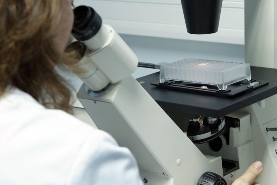 Descubren un biomarcador que mejora el diagnóstico del cáncer de pulmón (Fuente: EuropaPress) Descubren un biomarcador que mejora el diagnóstico del cáncer de pulmón (Fuente: EuropaPress)