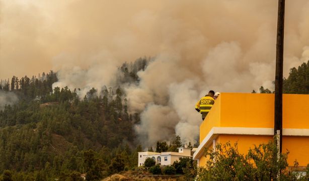 Arquitectos recomiendan no construir casas cerca del arbolado para evitar que se quemen en incendios