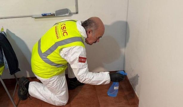 Patentan un producto aplicado en la DANA que elimina el moho de viviendas afectadas por inundaciones