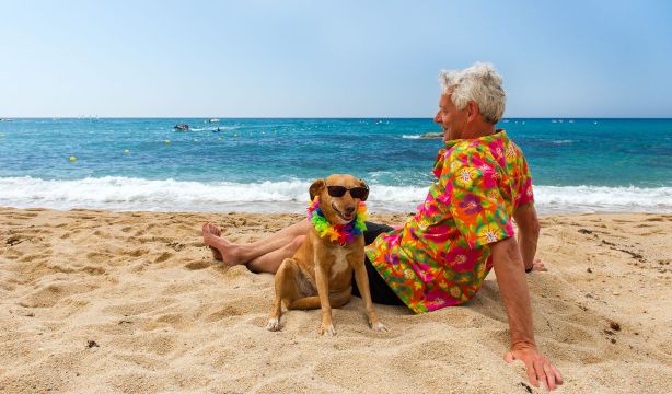 ¿Cómo debes cuidar de tu mascota para que esté fresca durante el verano?