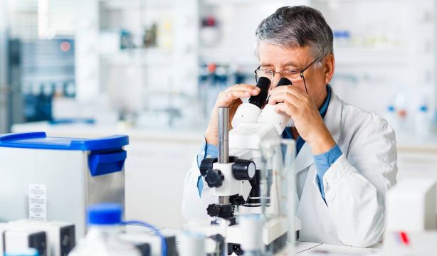 Identifican una proteína que previene el daño hepático y frena el desarrollo de tumores (Fuente: BigStock)