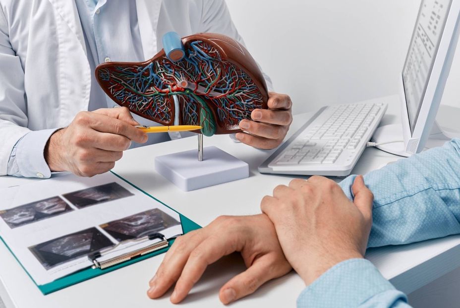 El CNIC identifica una proteína que previene el daño hepático y frena el desarrollo de tumores (Fuente: BigStock)